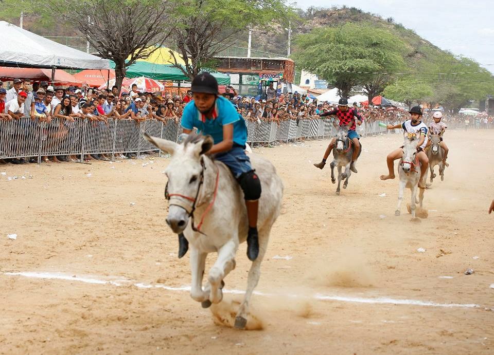 Jecana do Capim começa nesta sexta-feira e terá torneio de futebol, corrida de jegues e shows