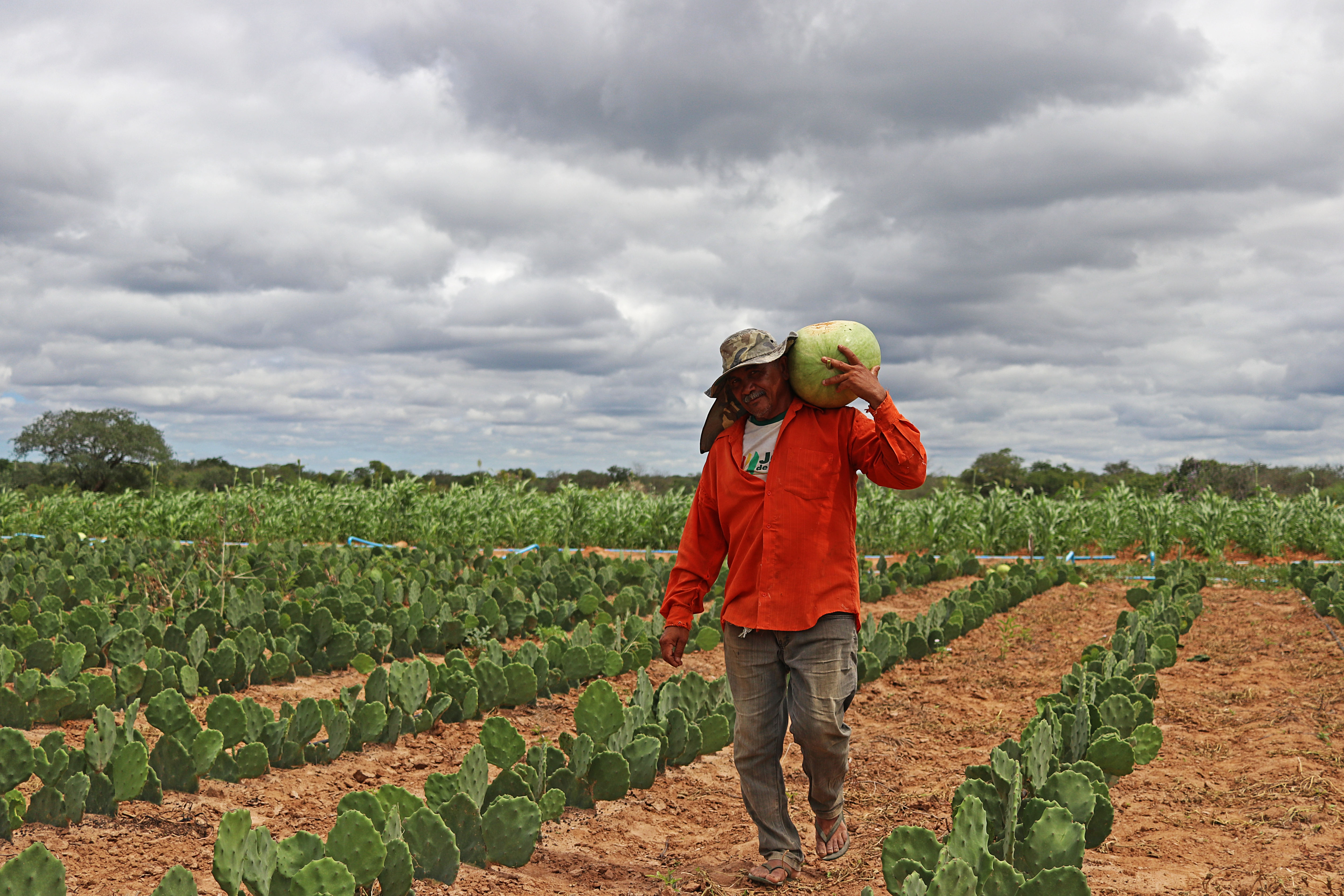 Prefeitura de Petrolina entrega boletos do Garantia-Safra a agricultores familiares