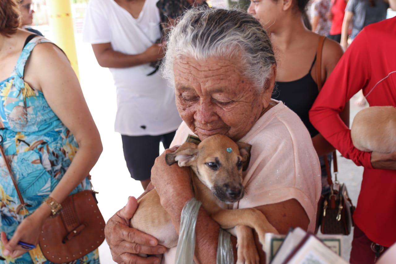 Adoção de animais: Prefeitura e Shopping promovem feira de adoção em Petrolina