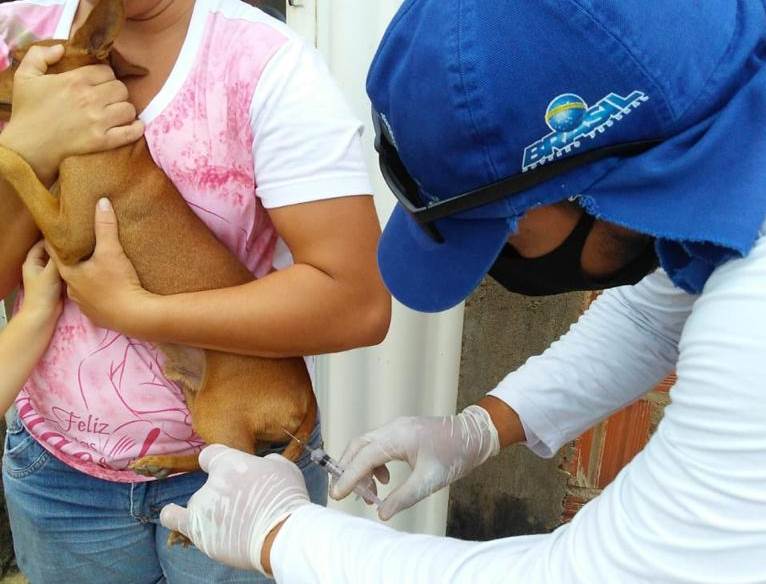 Campanha de vacinação antirrábica começa segunda-feira em Petrolina