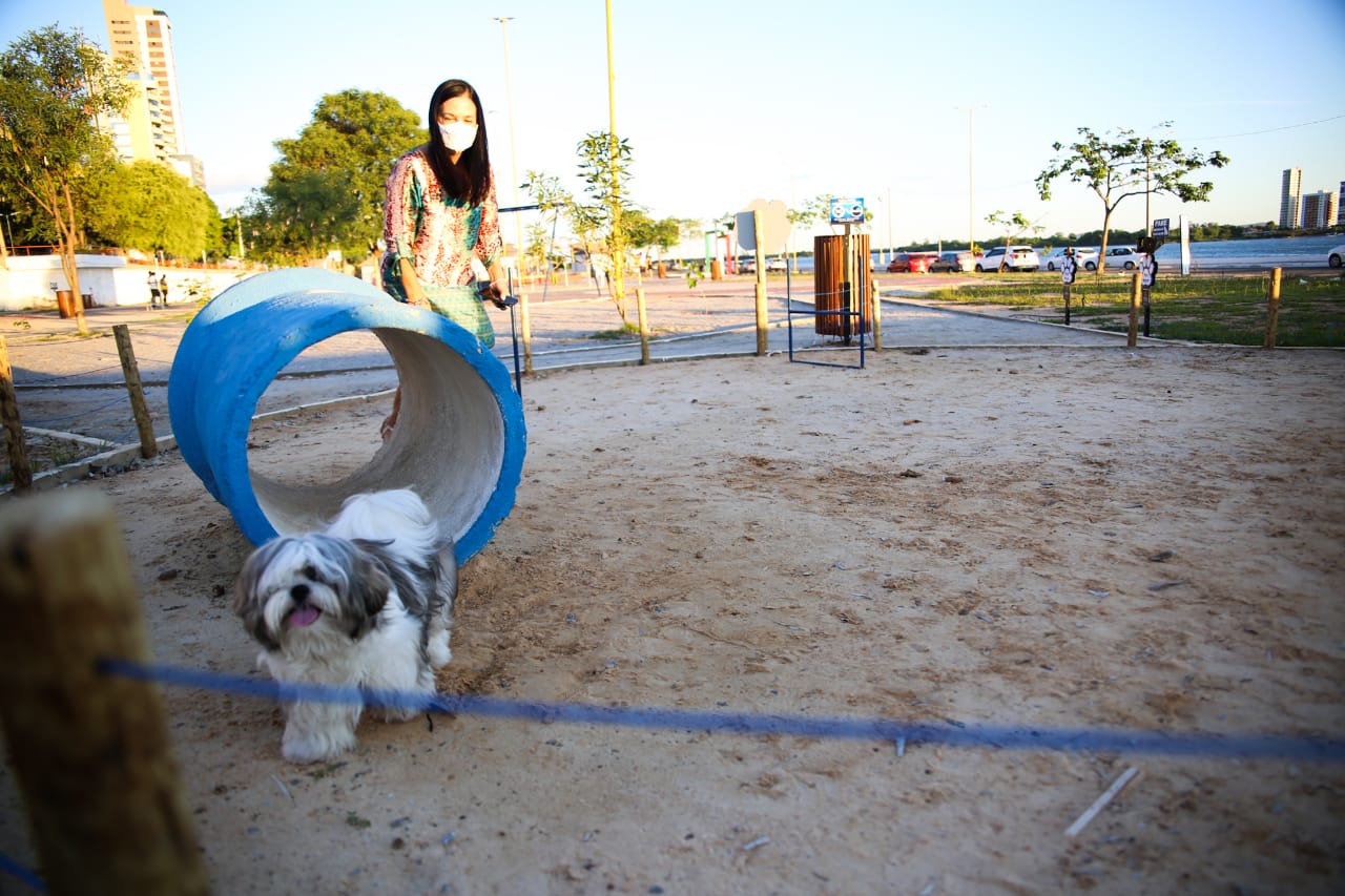 Espaço público voltado para recreação animal é um dos principais atrativos da Porta do Rio