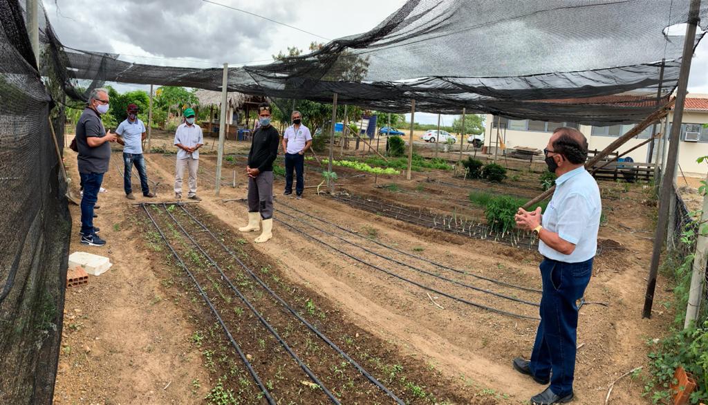 AGE financia agricultores familiares para implantação de projeto ‘Sisteminha’
