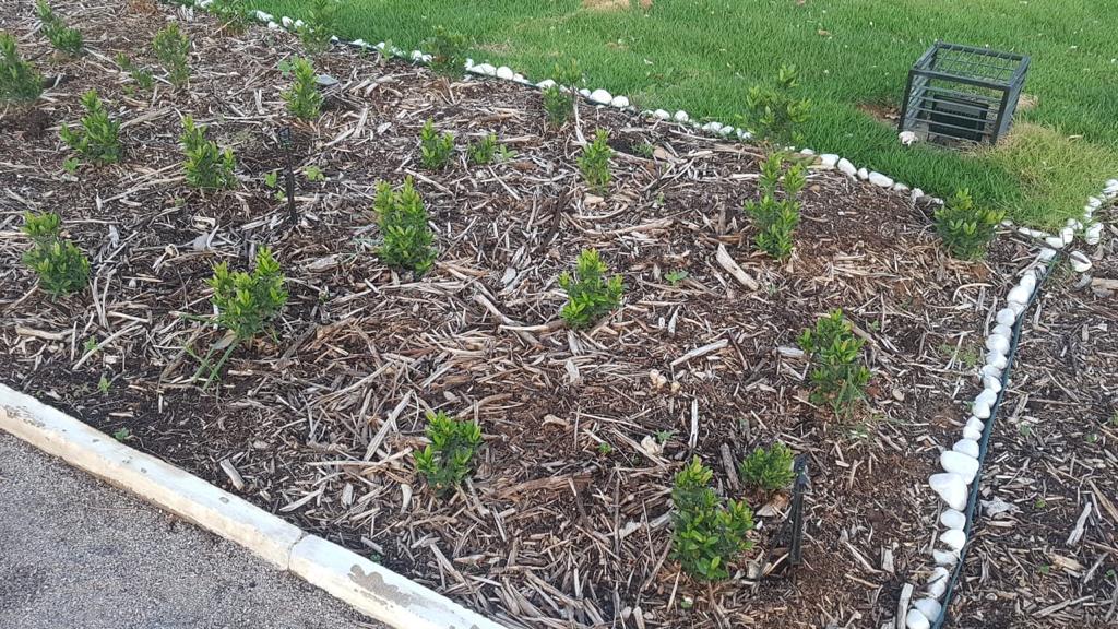 Como ações do dia a dia podem ajudar o meio ambiente   