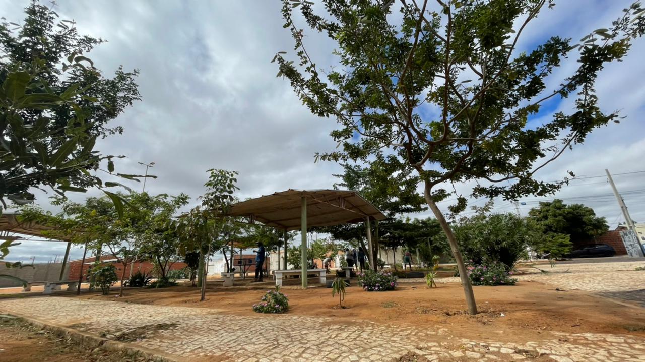Projeto Nossa Árvore vem obtendo bons resultados em Petrolina