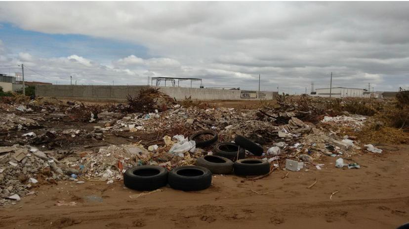 Prefeitura e população precisam atuar em conjunto na fiscalização de terrenos baldios