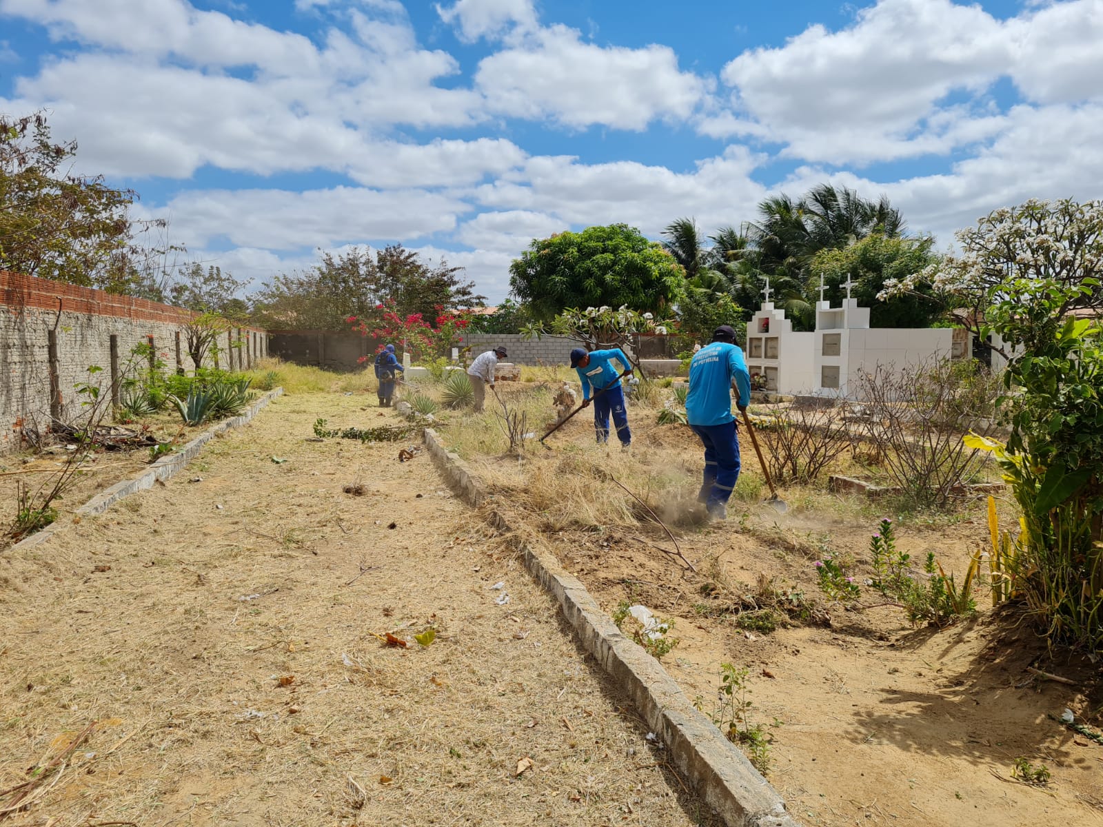 Prefeitura intensifica mutirões de limpeza nas áreas ribeirinha e irrigada de Petrolina