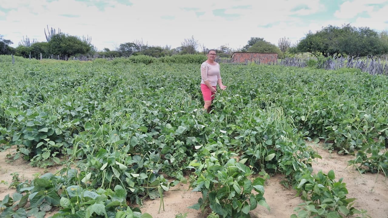 Em Petrolina, mulheres fortalecem a Agricultura Familiar