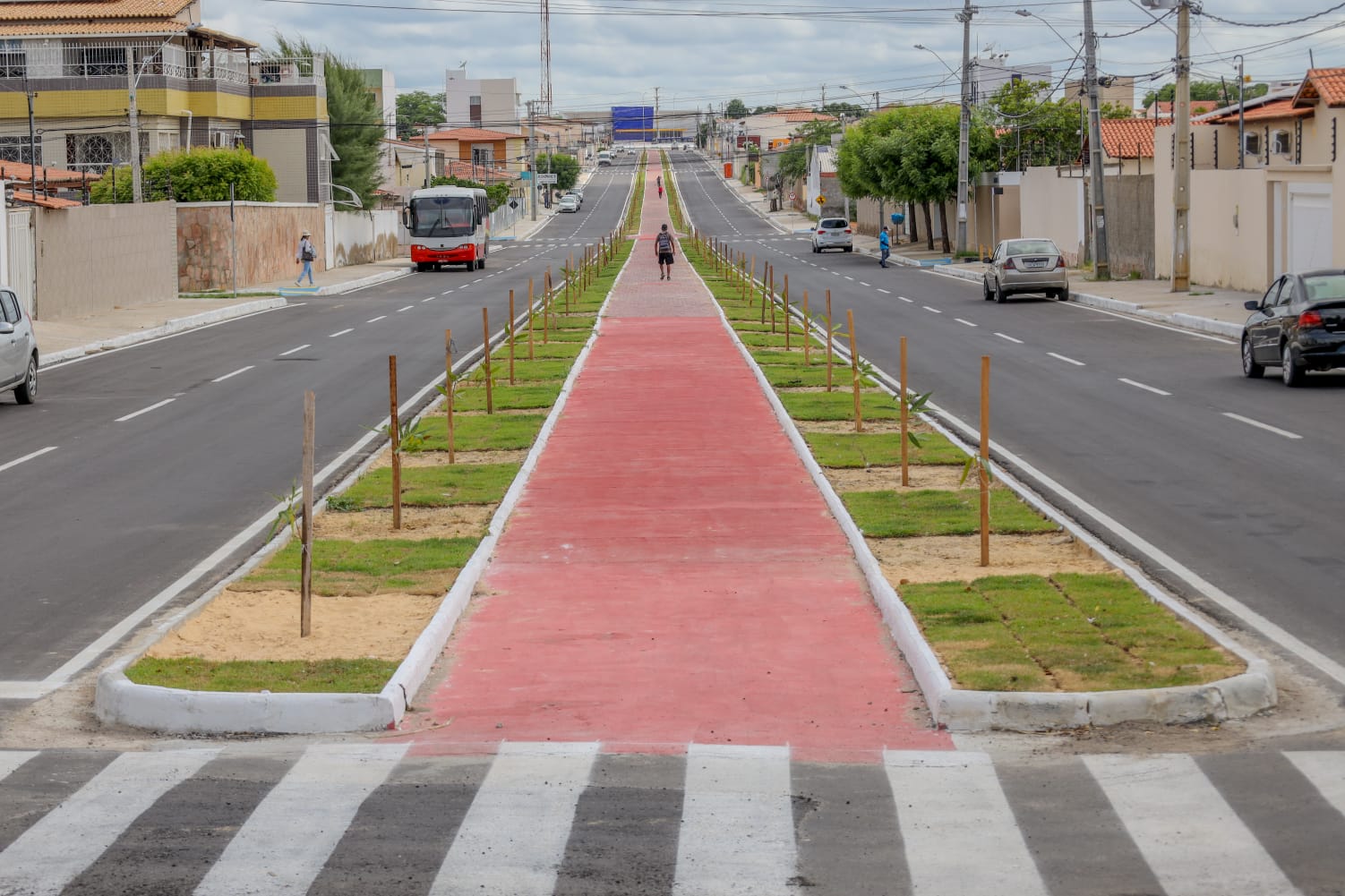 Nossa Árvore: Petrolina ganha mais um corredor verde na Avenida João Campos