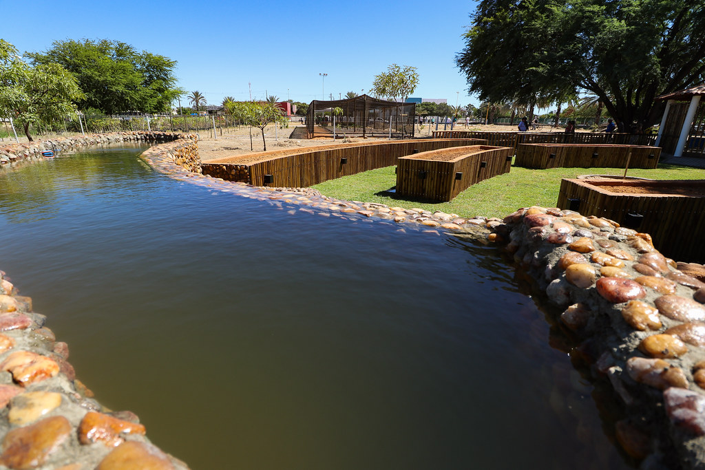 Petrolina: Dia da Caatinga será marcado pela reabertura do Viveiro Municipal e lançamentos de projetos