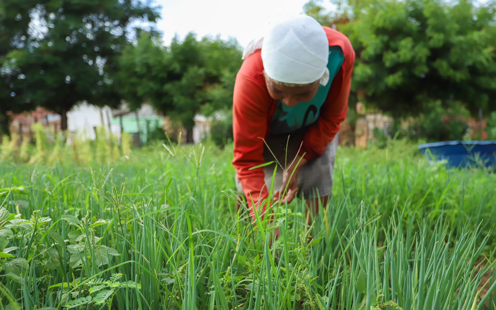 Dia do Trabalhador Rural: Prefeitura celebra data com ações e obras voltadas à zona rural de Petrolina