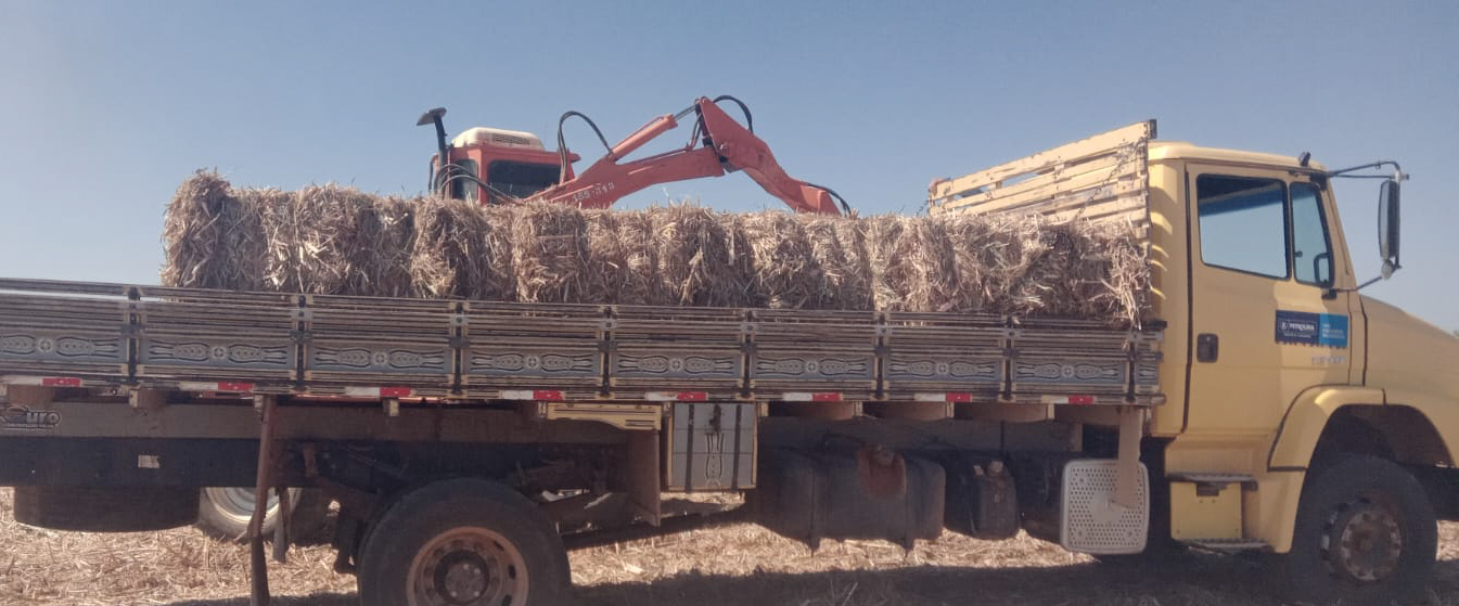 Mais de 300 agricultores já foram beneficiados com palhada de cana-de-açúcar como ração animal em Petrolina