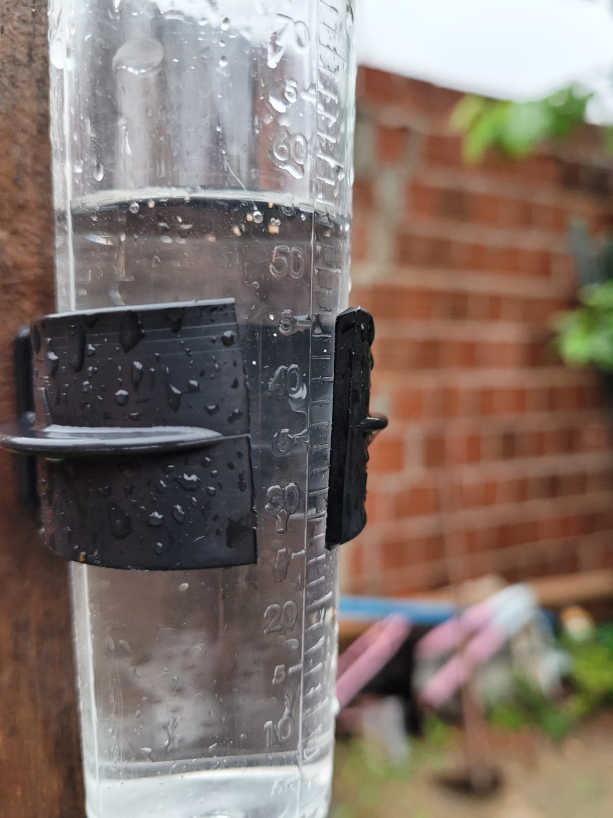 Comunidades da zona rural de Petrolina registraram chuva nessa segunda