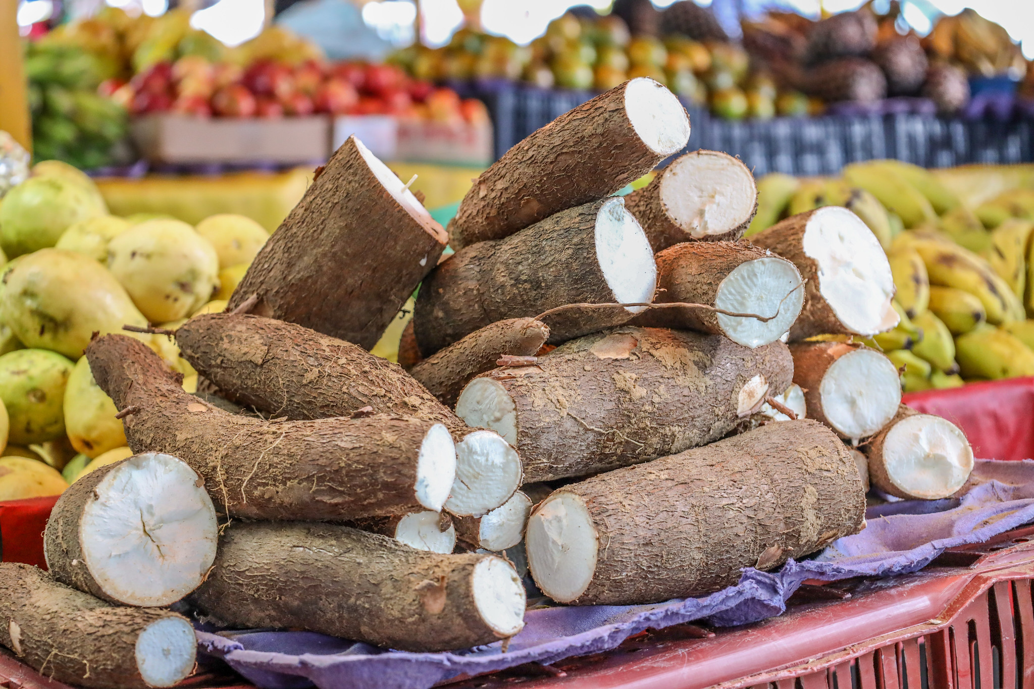 Agricultores familiares de Petrolina fornecerão alimentos para programa da CONAB