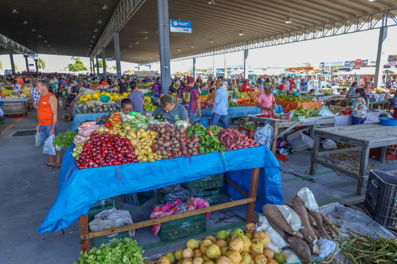 Semana Santa: Feiras livres de Petrolina devem ter aumento de até 300% nas vendas     