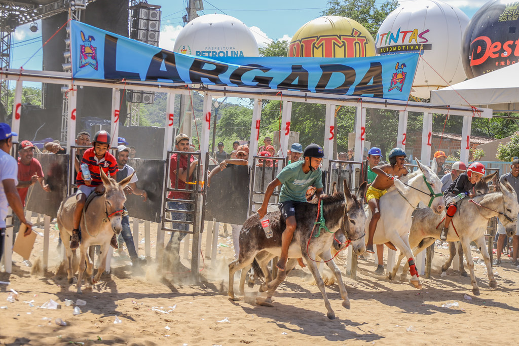 51 anos de tradição: Jecana é um dos eventos juninos mais importantes do interior de Petrolina