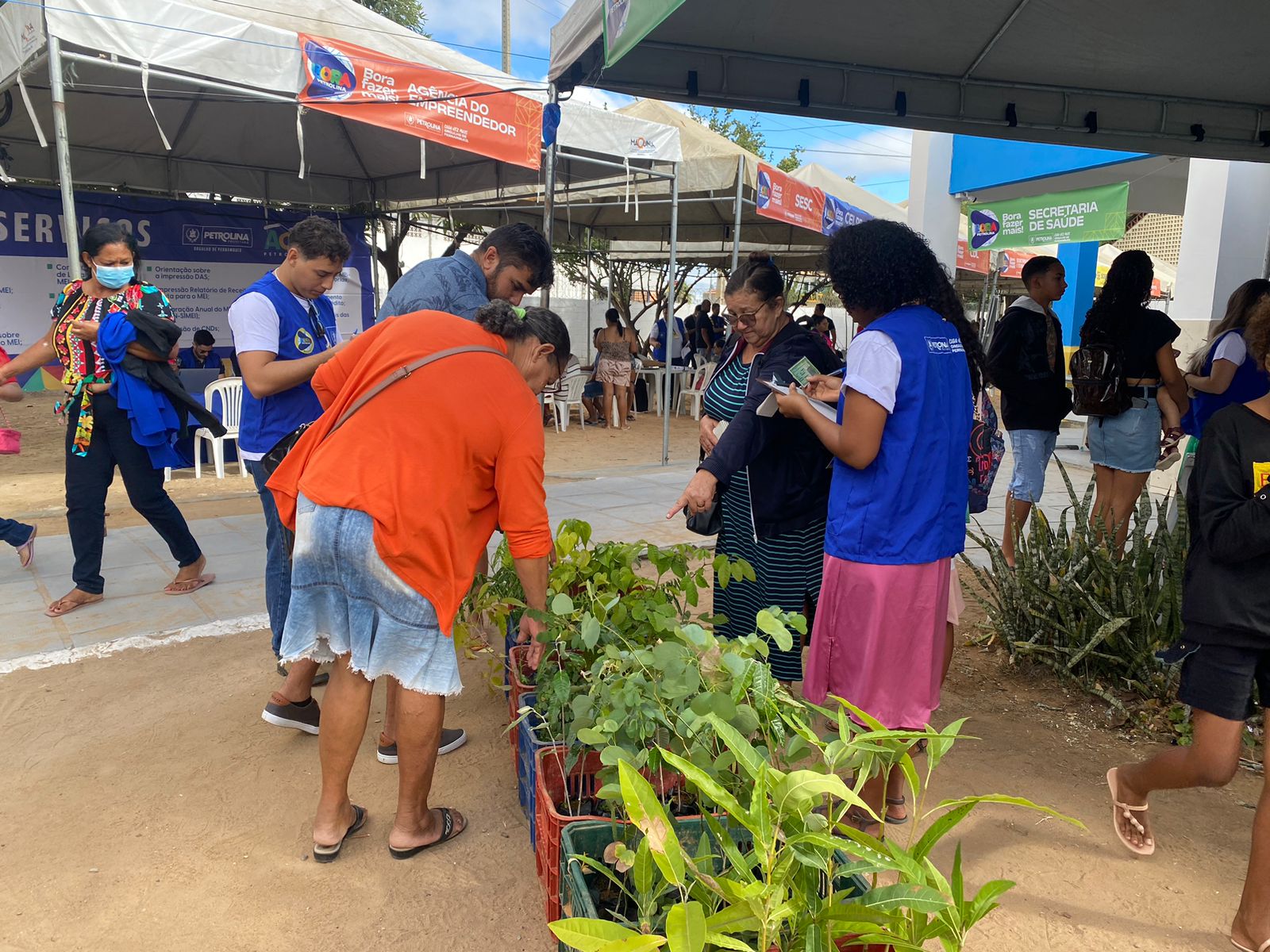 Bora Petrolina: 100 mudas de plantas foram distribuídas no bairro João de Deus 