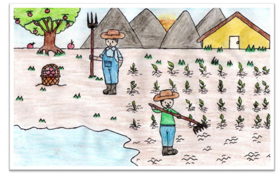 Arte nos Muros: Escolas de Petrolina são premiadas com obras de grafite sobre alimentação saudável 