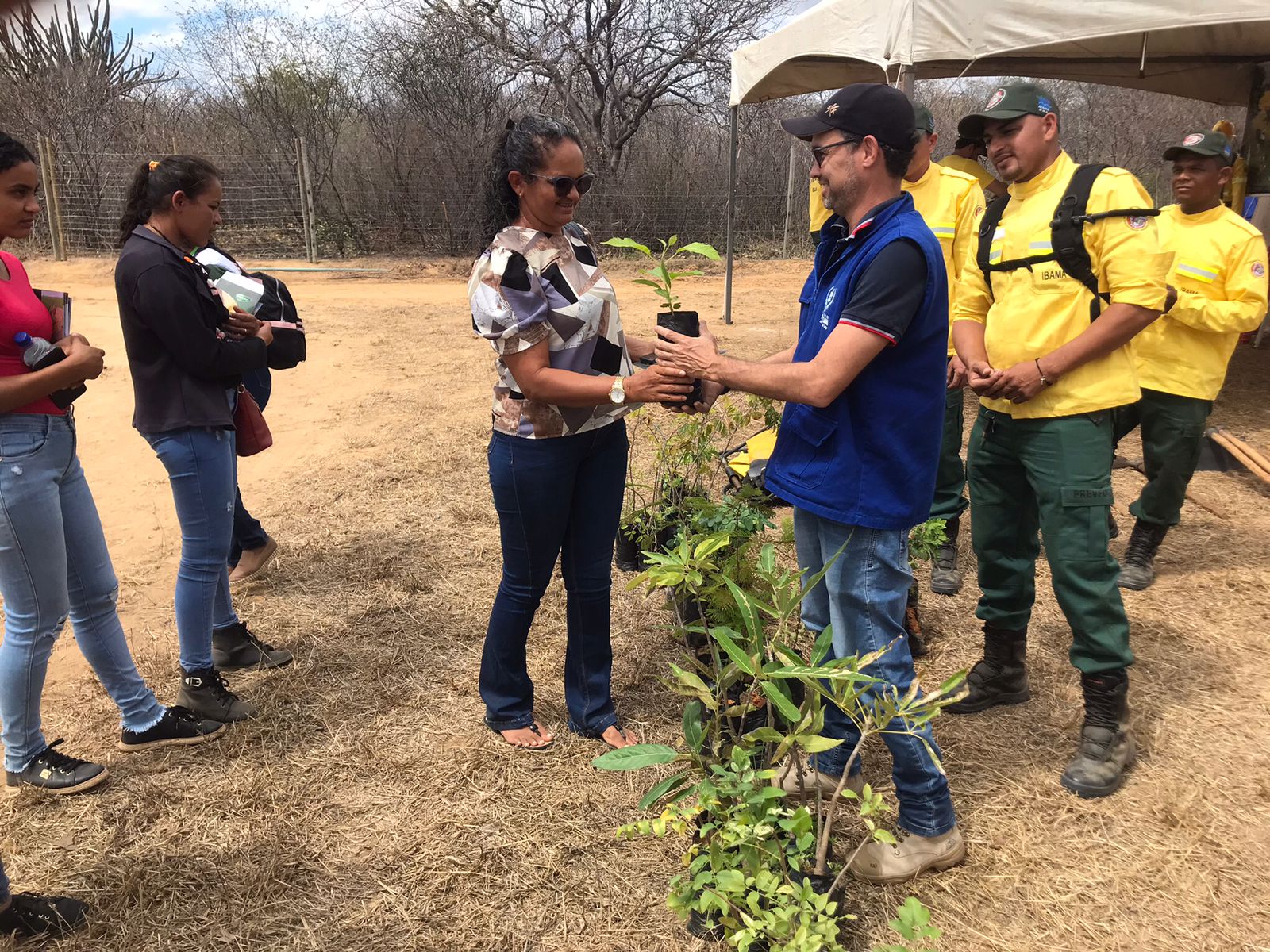 Petrolina: AMMA realiza distribuição de mudas da caatinga durante Semiárido Show 