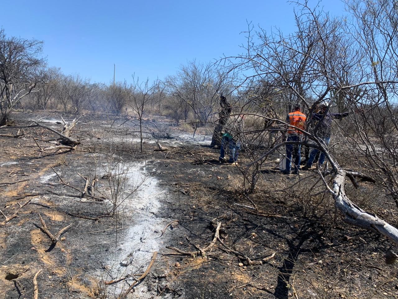 Defesa Civil de Petrolina alerta para riscos de incêndio com tempo quente e seco 