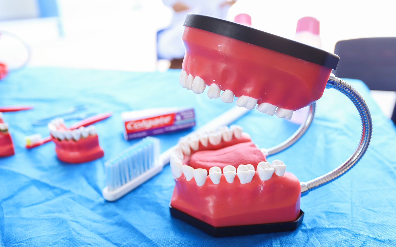 Prefeitura de Petrolina oferta ação de prevenção à saúde bucal para pessoa com deficiência      