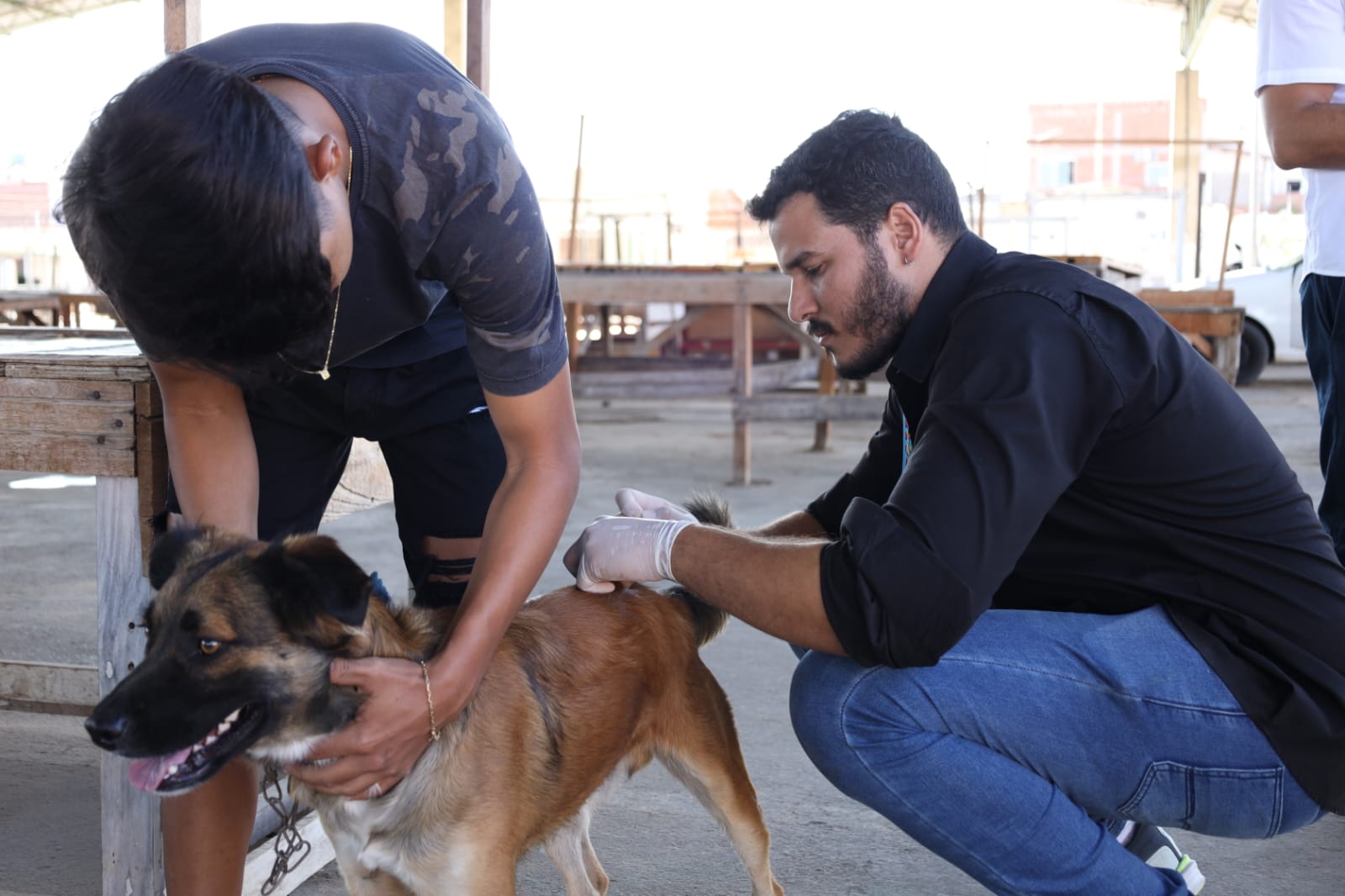 Vacinação Antirrábica chega a outros  bairros de Petrolina  