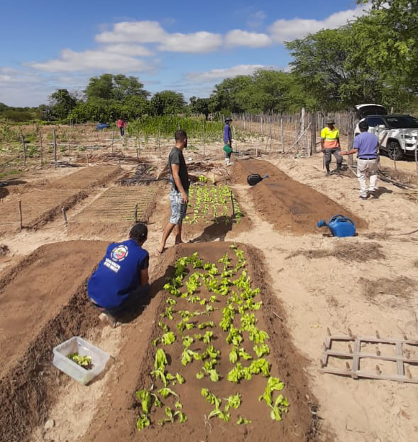 Prefeitura fortalece agricultura familiar com implantação de hortas comunitárias em Petrolina 