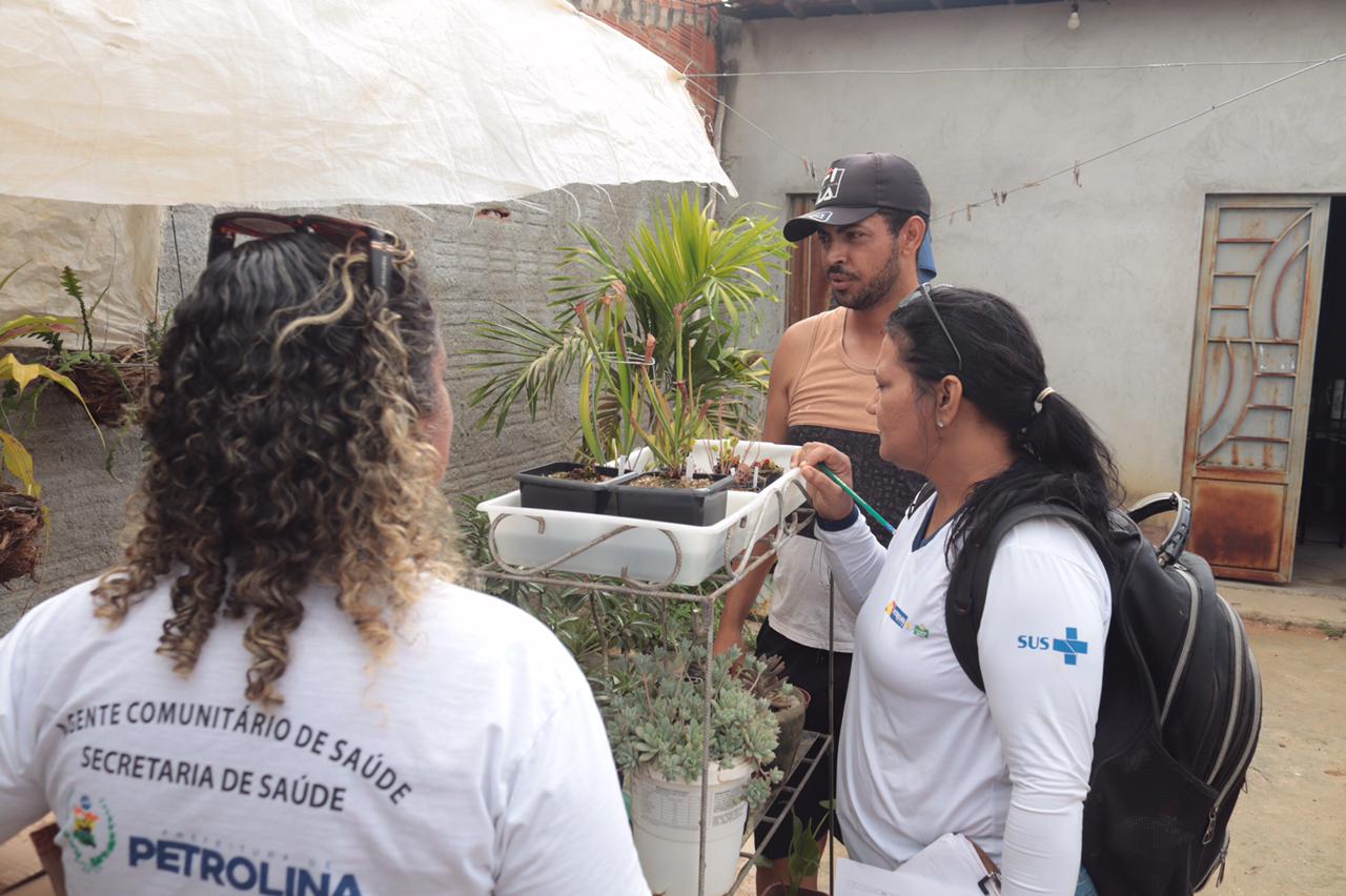 Aedes aegypti: Petrolina inicia nova pesquisa do LIRAa na cidade 