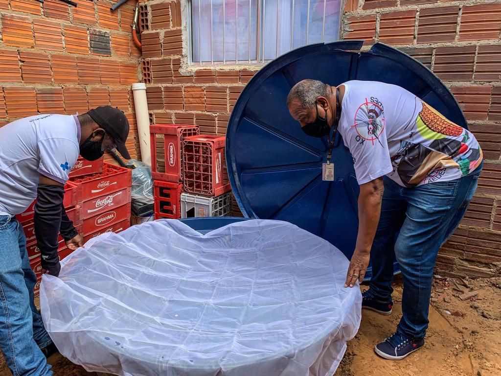 Dia D de combate ao mosquito Aedes aegypti acontece nesse sábado em Petrolina