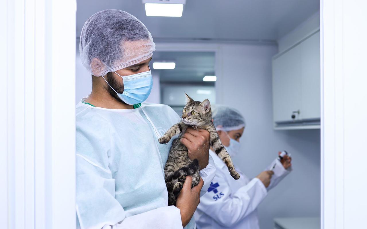 Bora Petrolina: CCZ realiza triagem para castração de animais no Antônio Cassimiro 