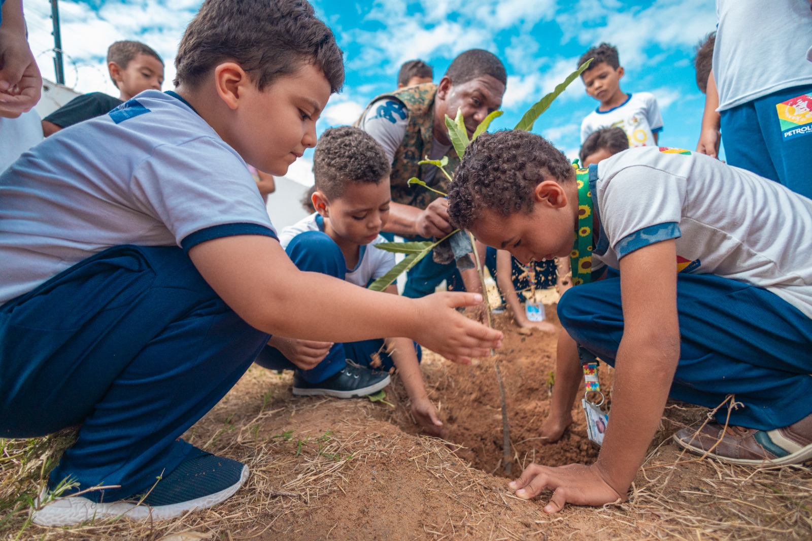 Petrolina ultrapassa meta ambiental e supera mais de 50 mil mudas doadas em 2025