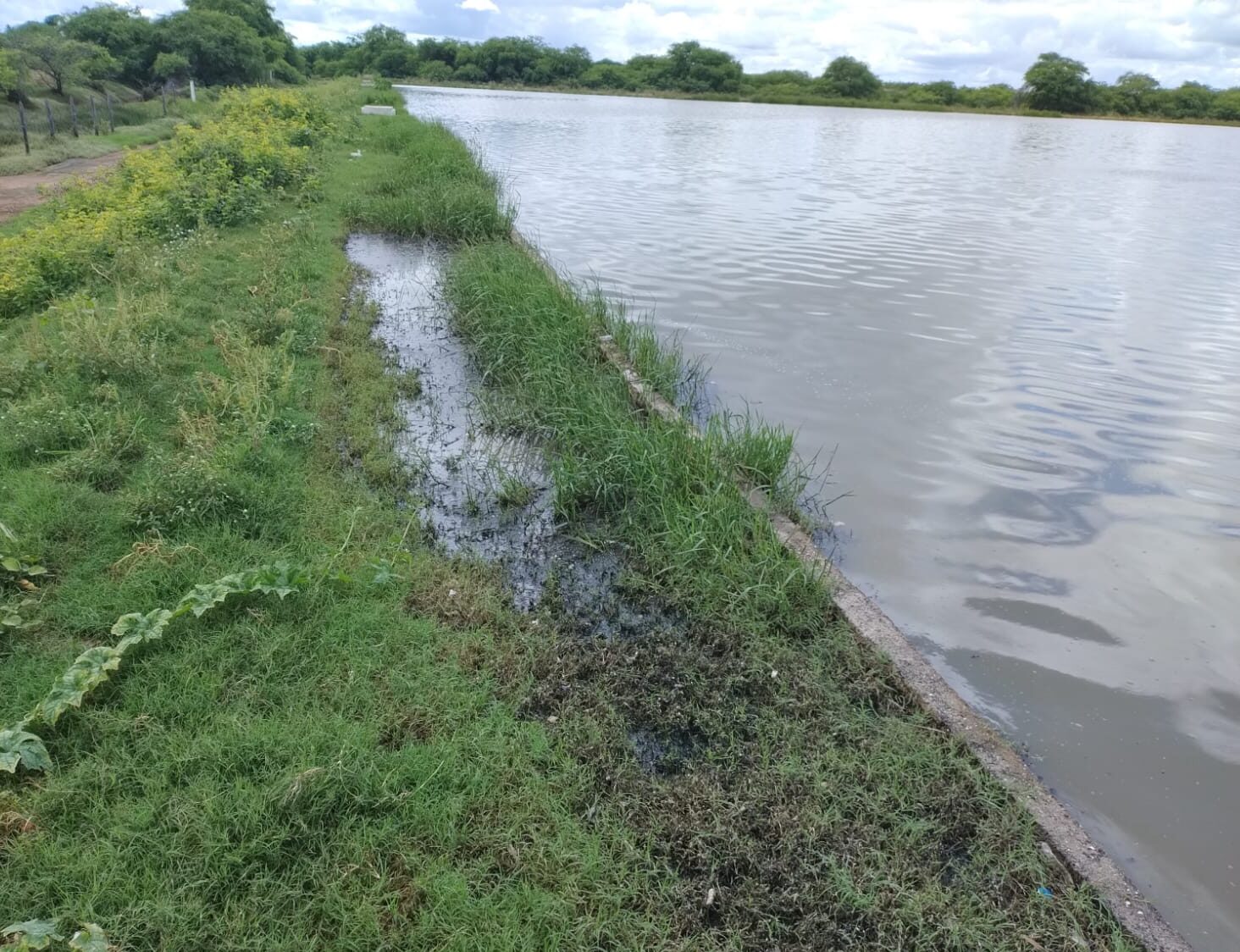 ARMUP multa COMPESA por crime ambiental e irregularidades na estação de tratamento de esgoto no João de Deus