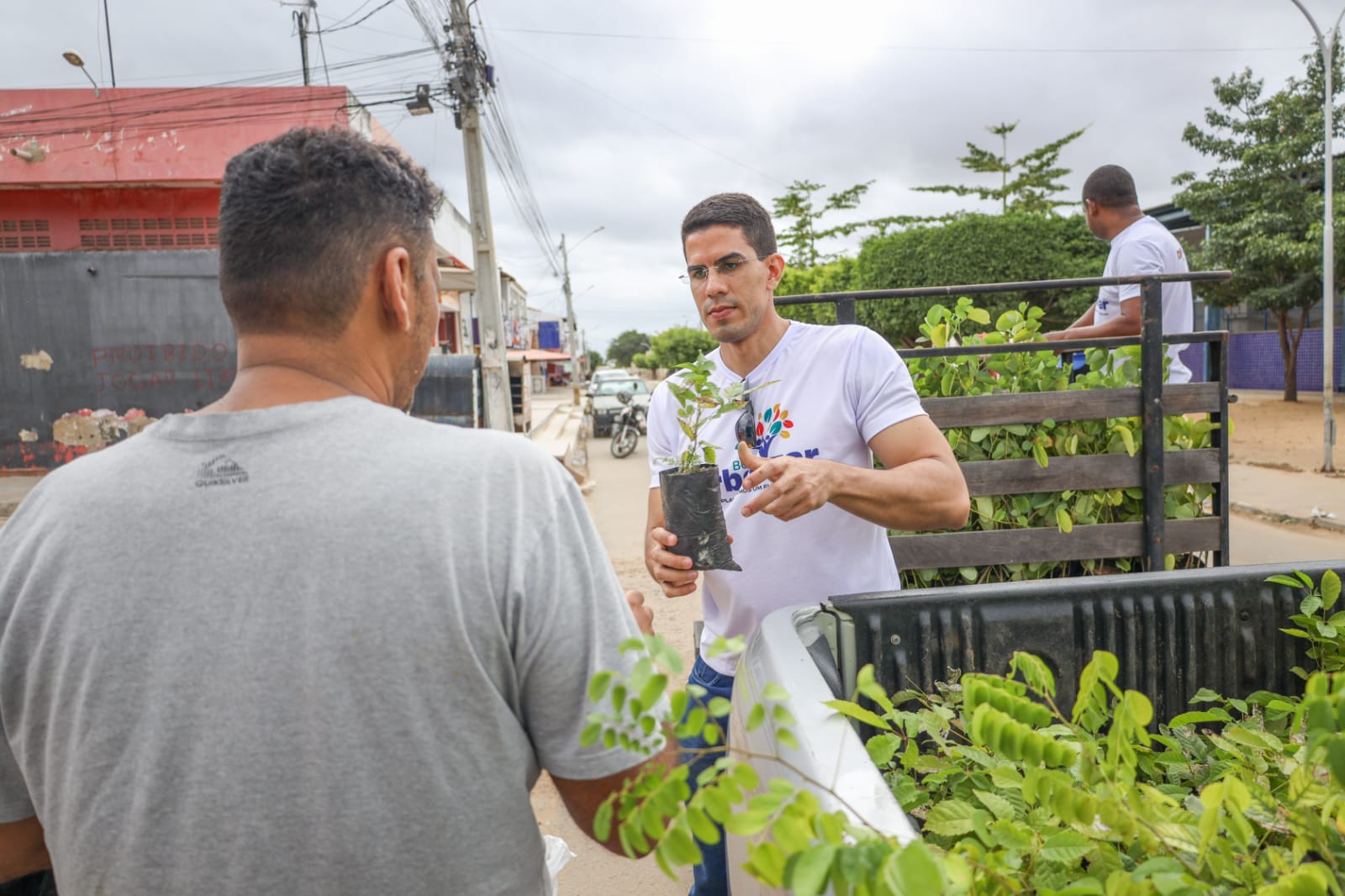 Prefeitura de Petrolina promove distribuição de plantas no bairro Terras do Sul nessa quarta-feira