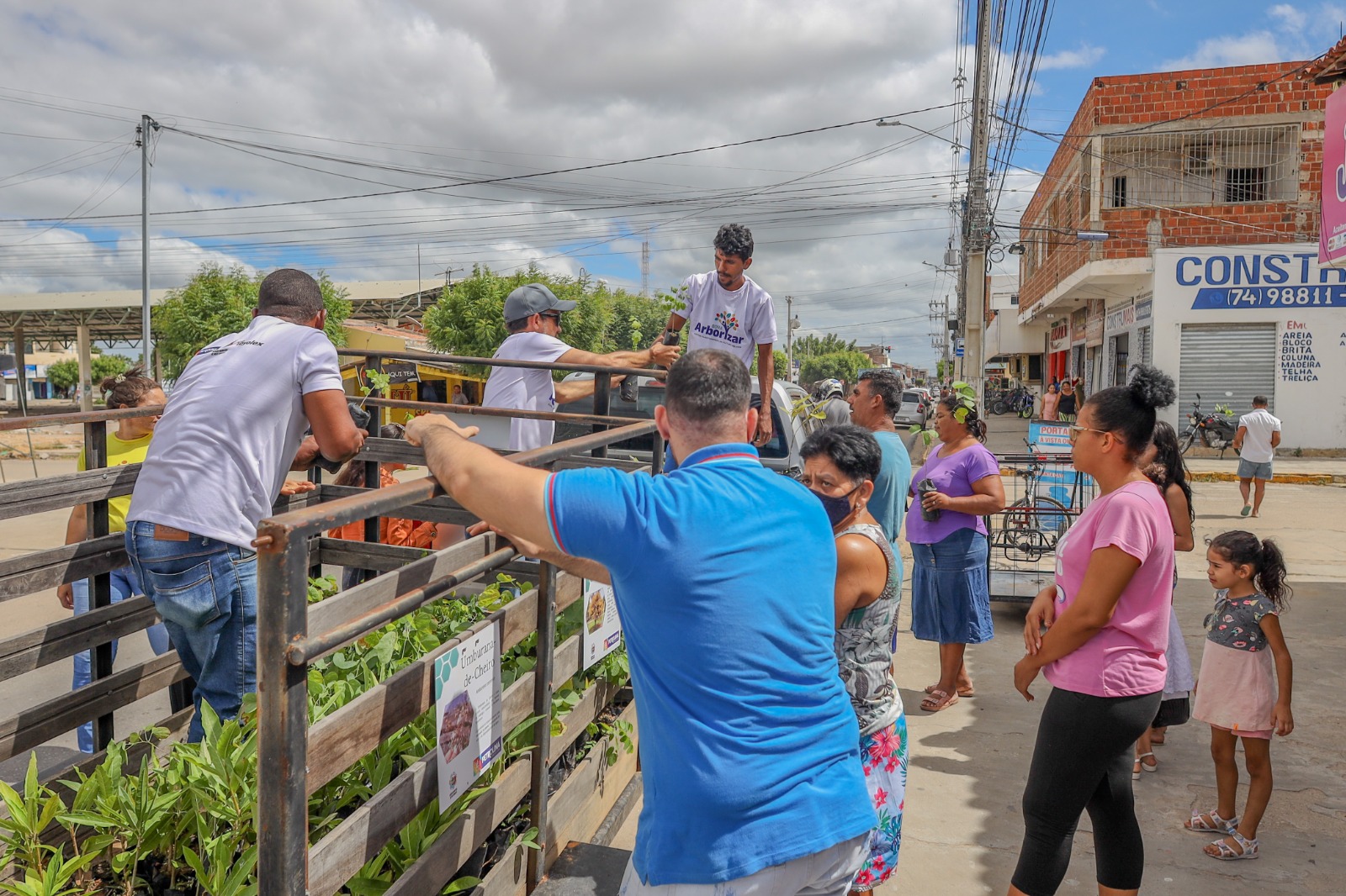 Cerca de 40 mil mudas já foram doadas em Petrolina e ajudaram na arborização da cidade