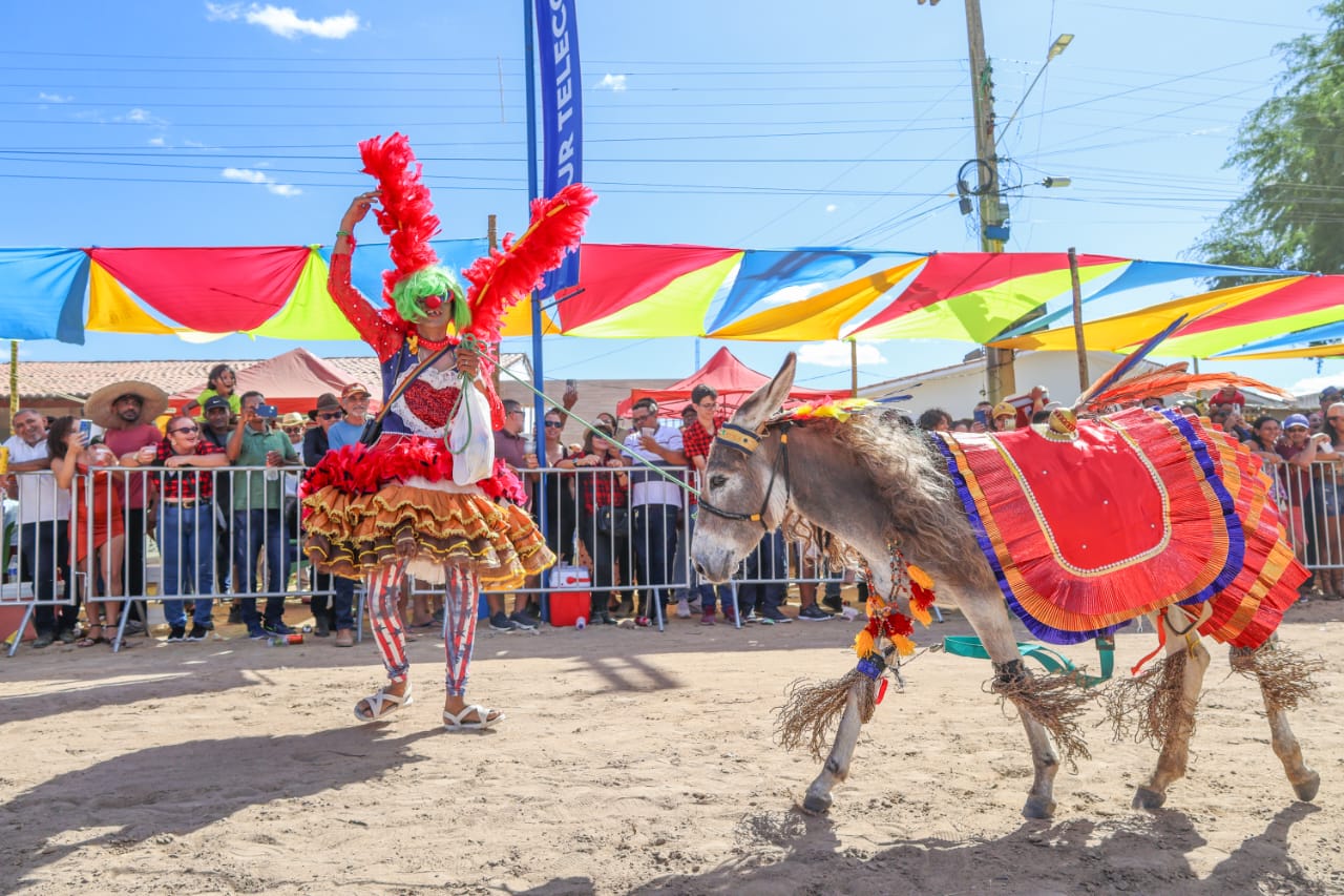 Jecana do Capim: Corrida de Jegues faz sucesso no Brasil por valorizar animal comum no Nordeste