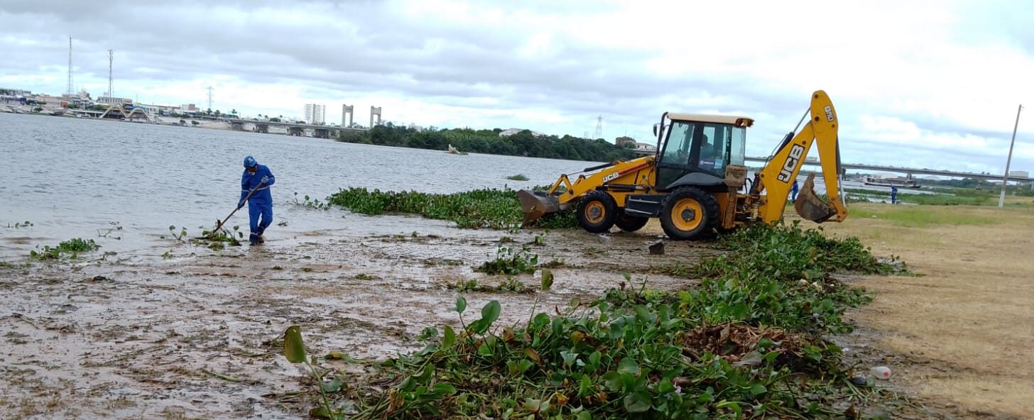 Mutirão de limpeza reforça a preservação do Rio São Francisco em Petrolina