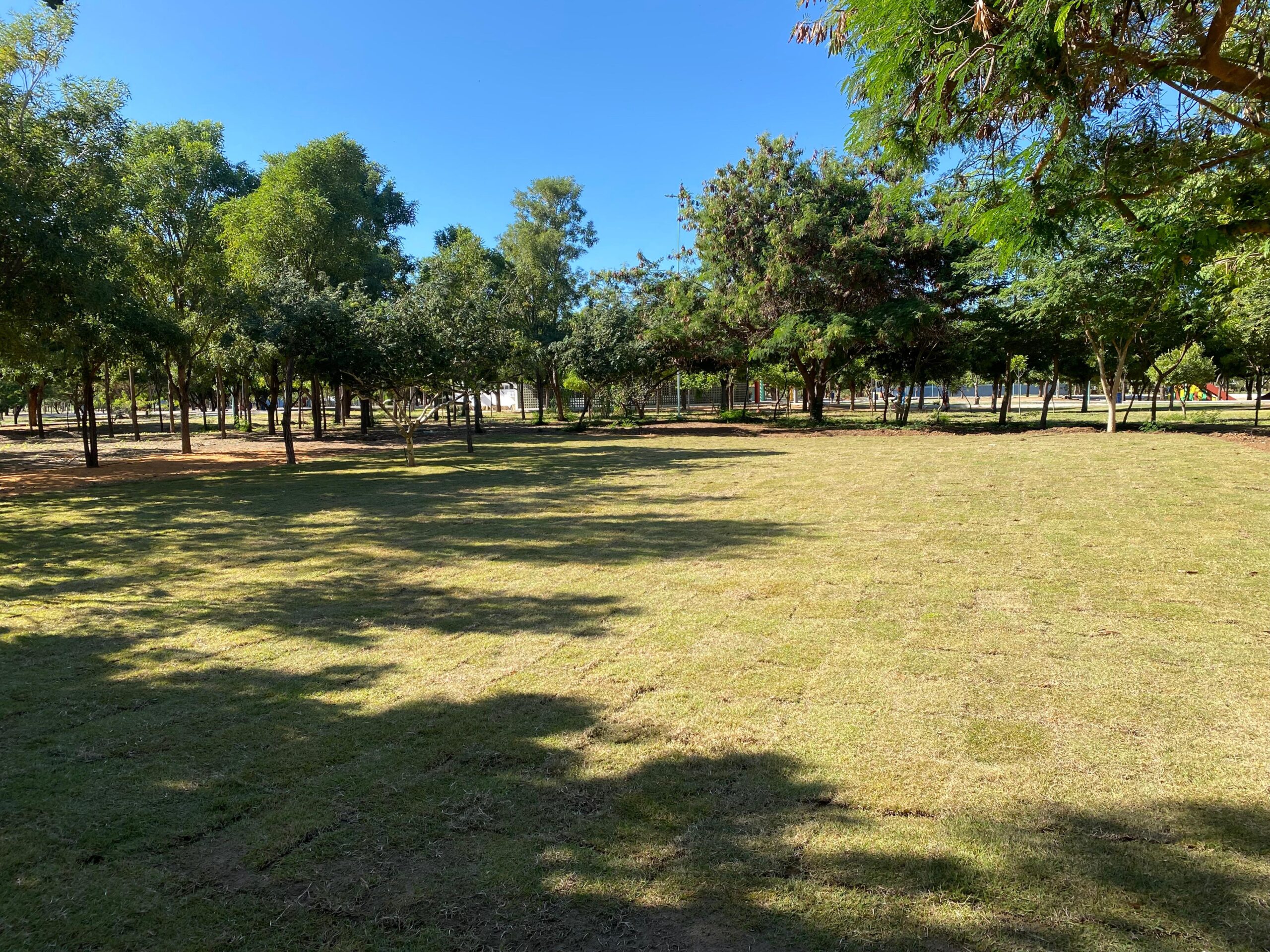 Parque Municipal Josepha Coelho ganha nova área de lazer para petrolinenses e visitantes