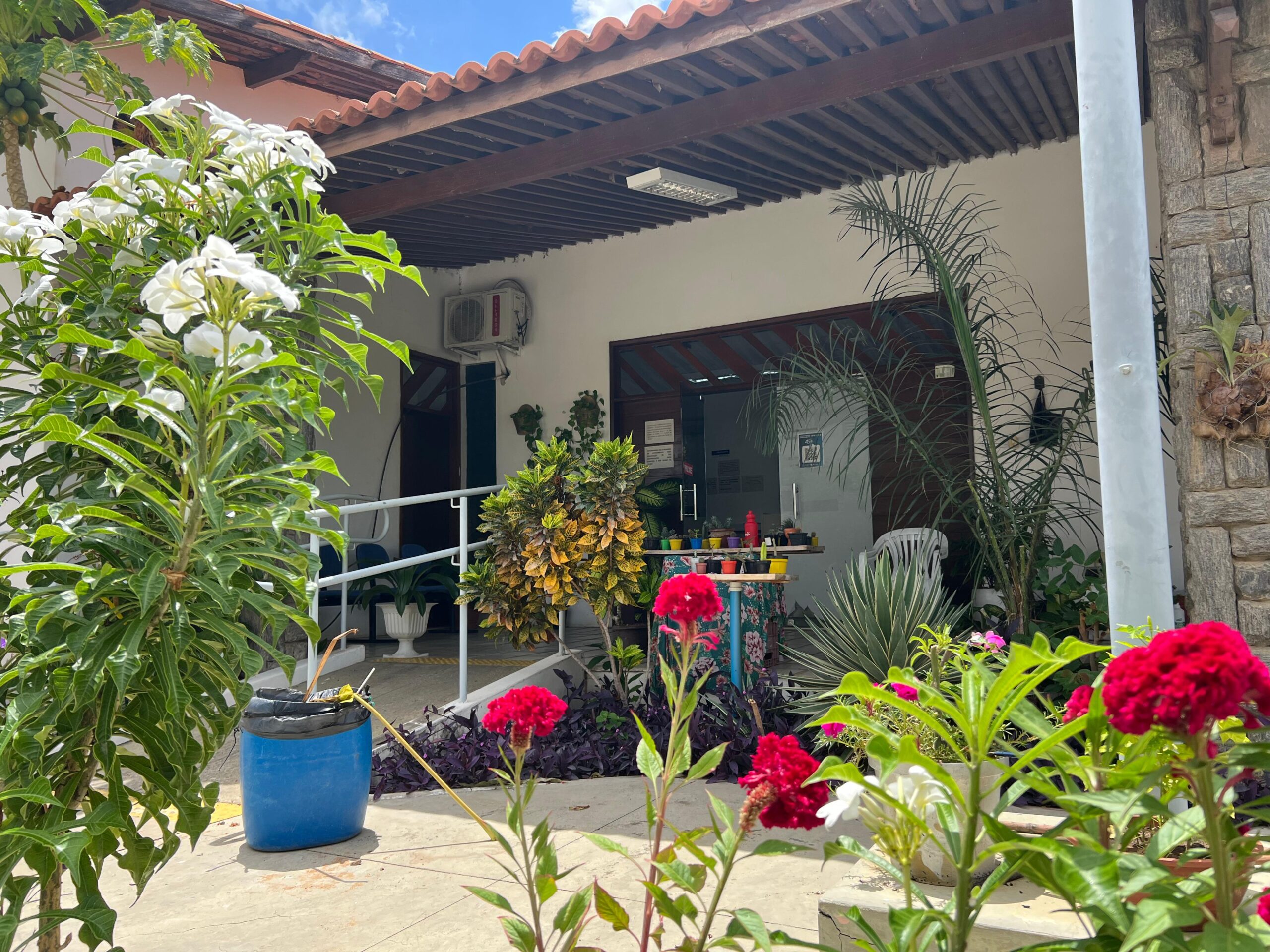 Como as plantas influenciam na Saúde Mental 