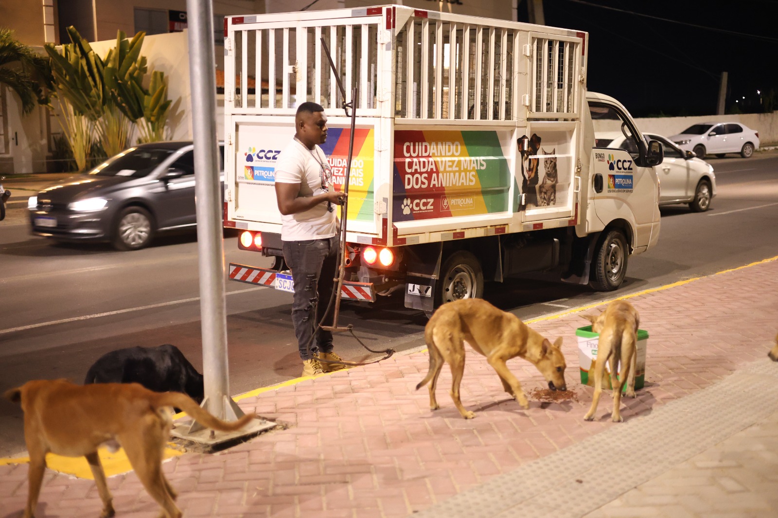 Prefeitura de Petrolina inicia projeto para ampliar o número de castrações de animais em situação de rua