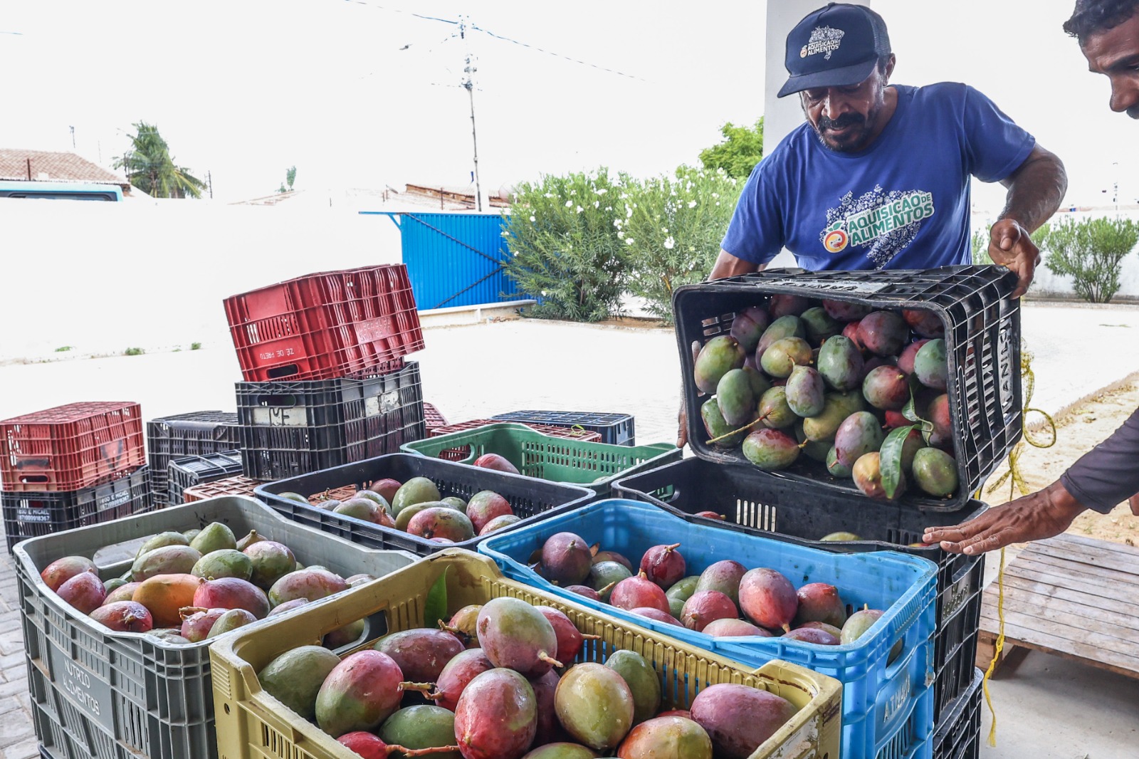 Do campo à mesa: Petrolina lança PAA 2026 para fortalecer agricultores e garantir alimentação a famílias