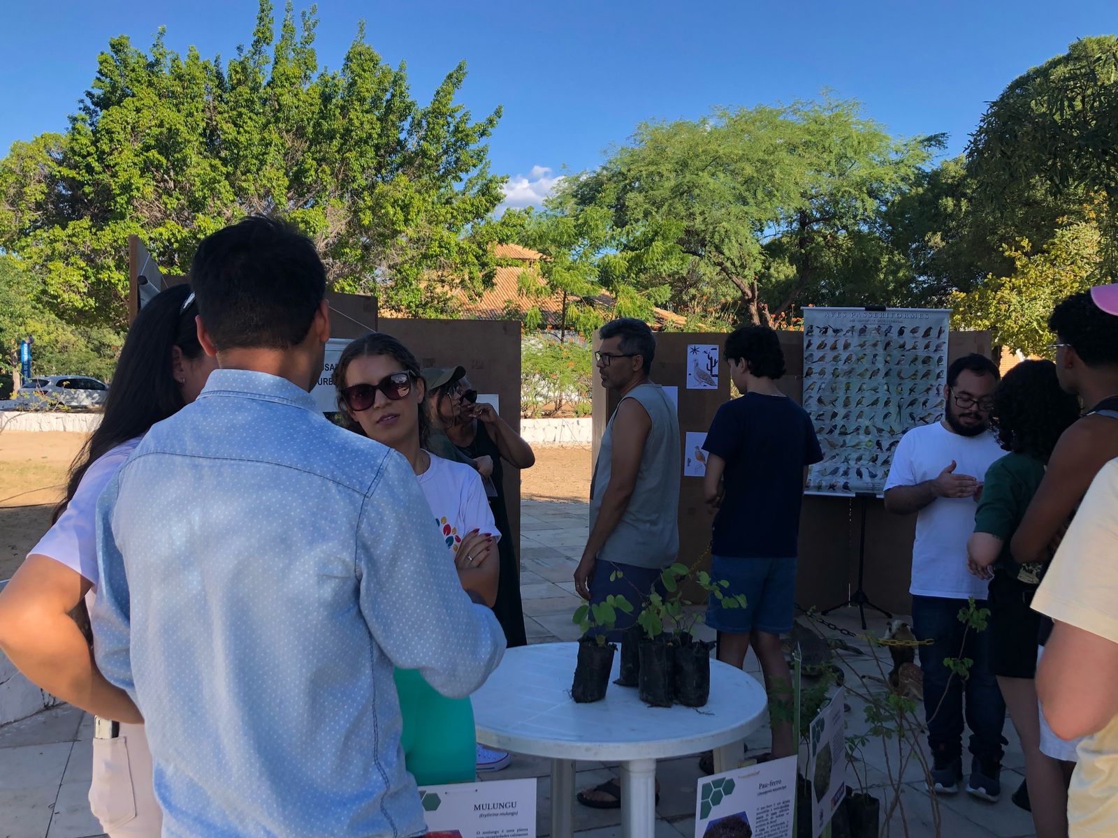 Prefeitura de Petrolina comemora Dia Nacional da Caatinga com distribuição de mudas nativas