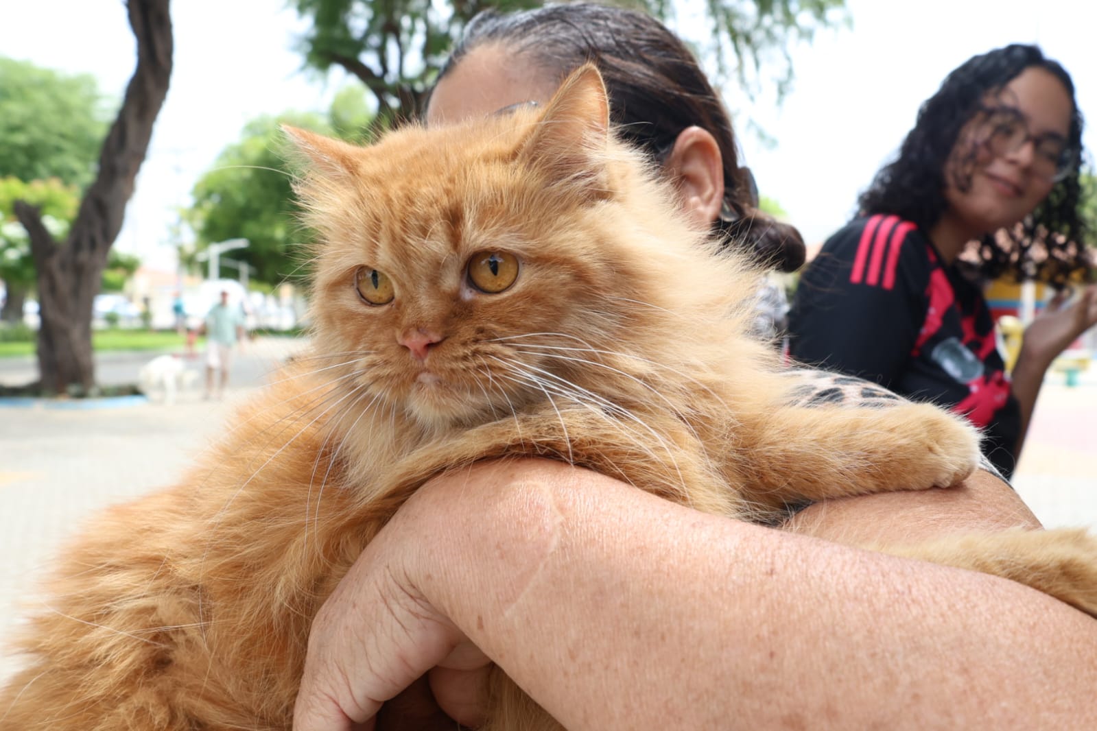 Mês de abril é lembrado pelo combate aos maus-tratos contra os animais