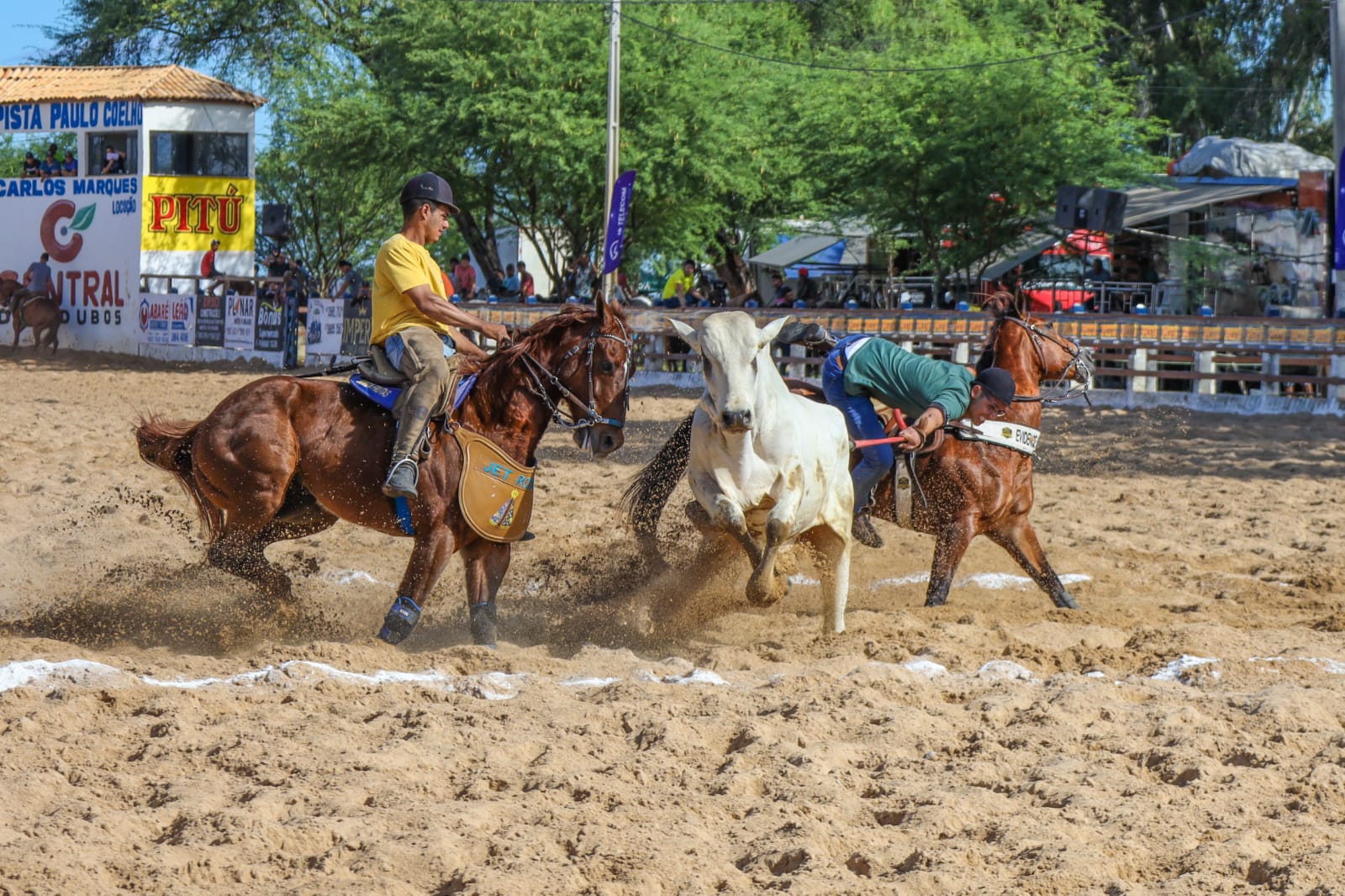 Vaquejada fortalece tradição nordestina e integra programação do Ciclo Junino