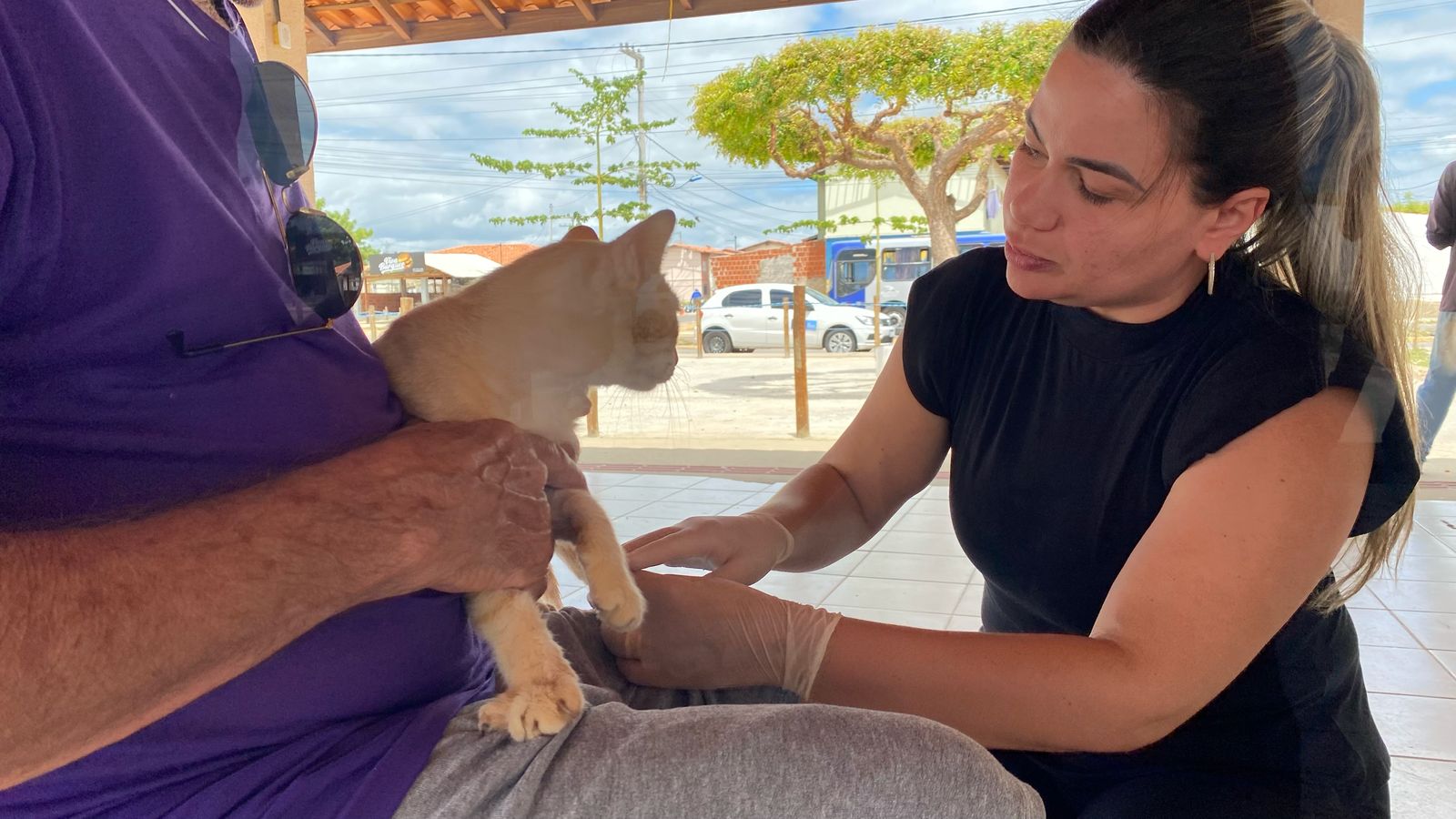 Bora Petrolina: Iniciativa vai contar com triagem para castração de animais na zona rural