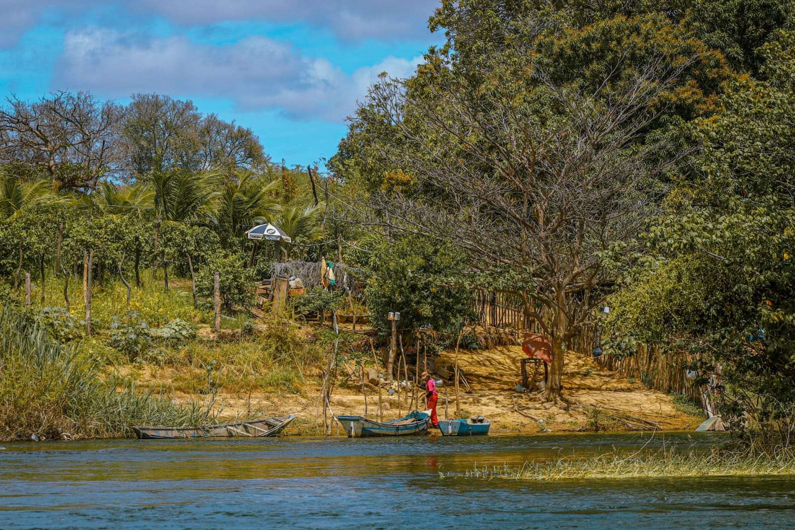 Ilhas do Rodeadouro e do Massangano: dois paraísos no Velho Chico que fortalecem o turismo em Petrolina