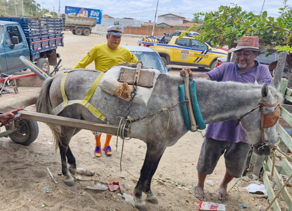 Prefeitura inicia ações educativas com carroceiros em Petrolina