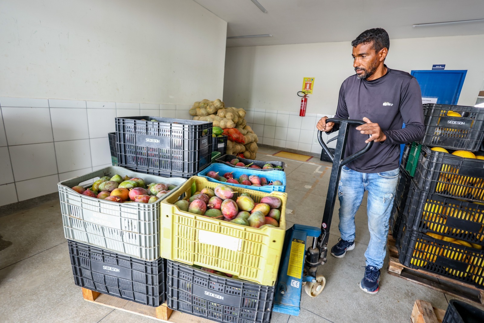 Petrolina fortalece agricultura urbana e ganha destaque em publicação nacional