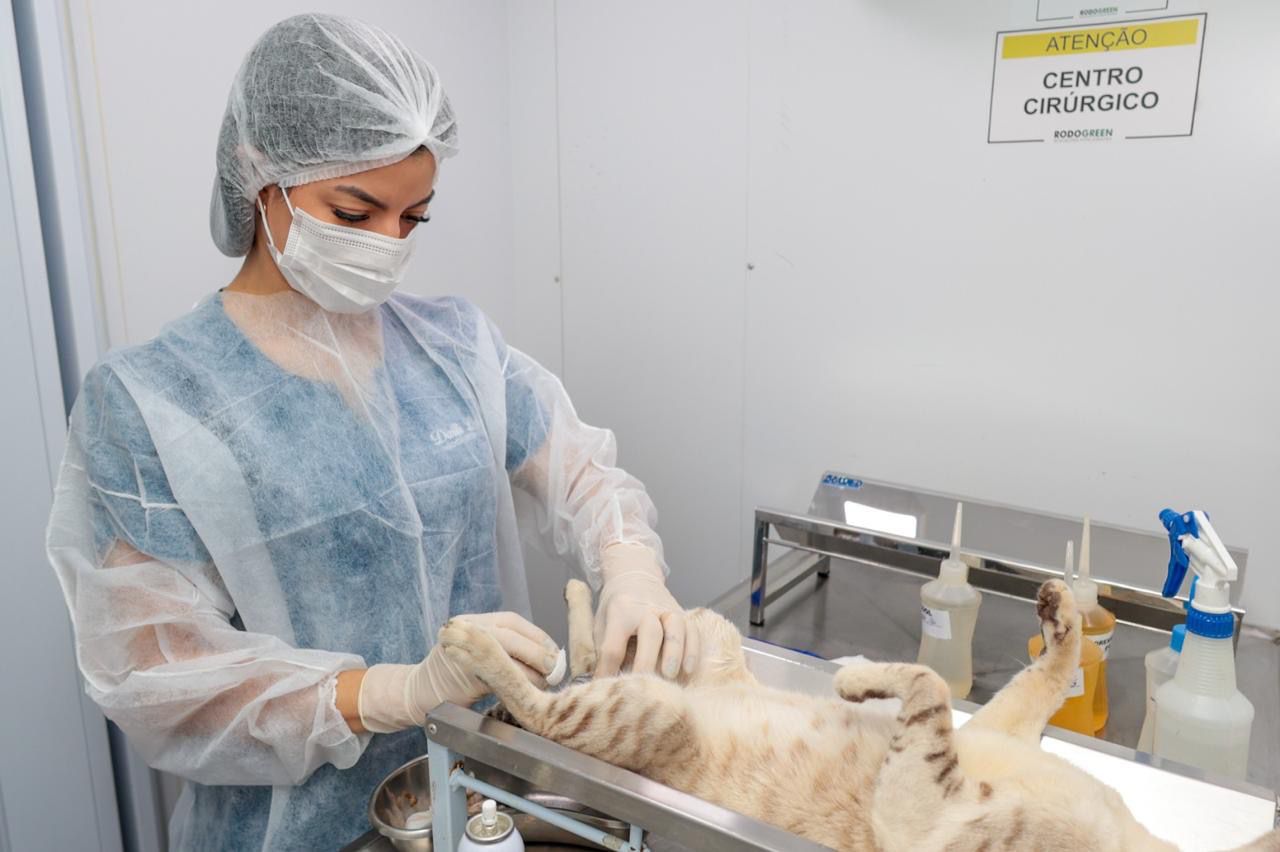 Castramóvel realiza 278 atendimentos no bairro São Gonçalo