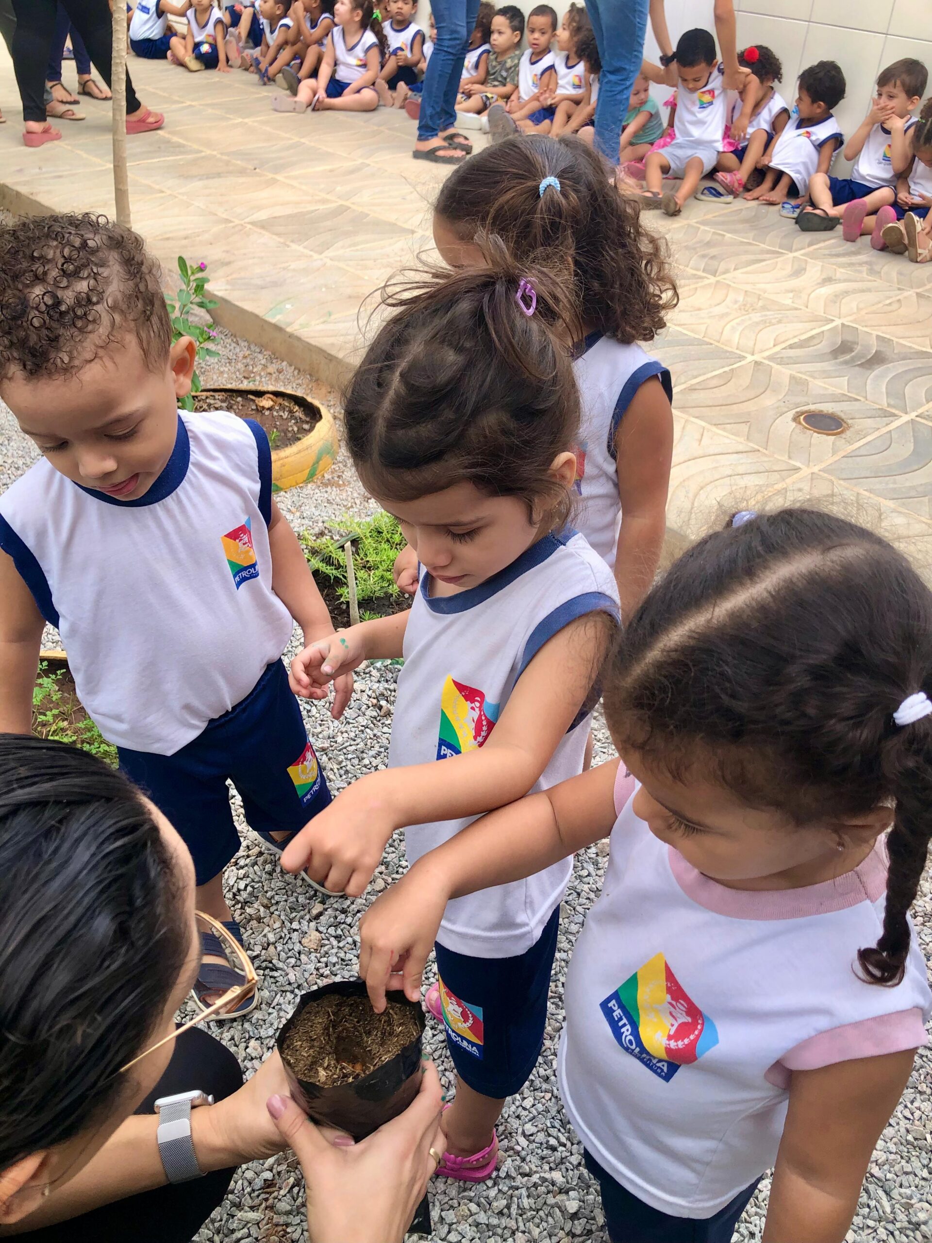 Prefeitura de Petrolina promove ação educativa do projeto ‘Escola Amiga da Árvore’