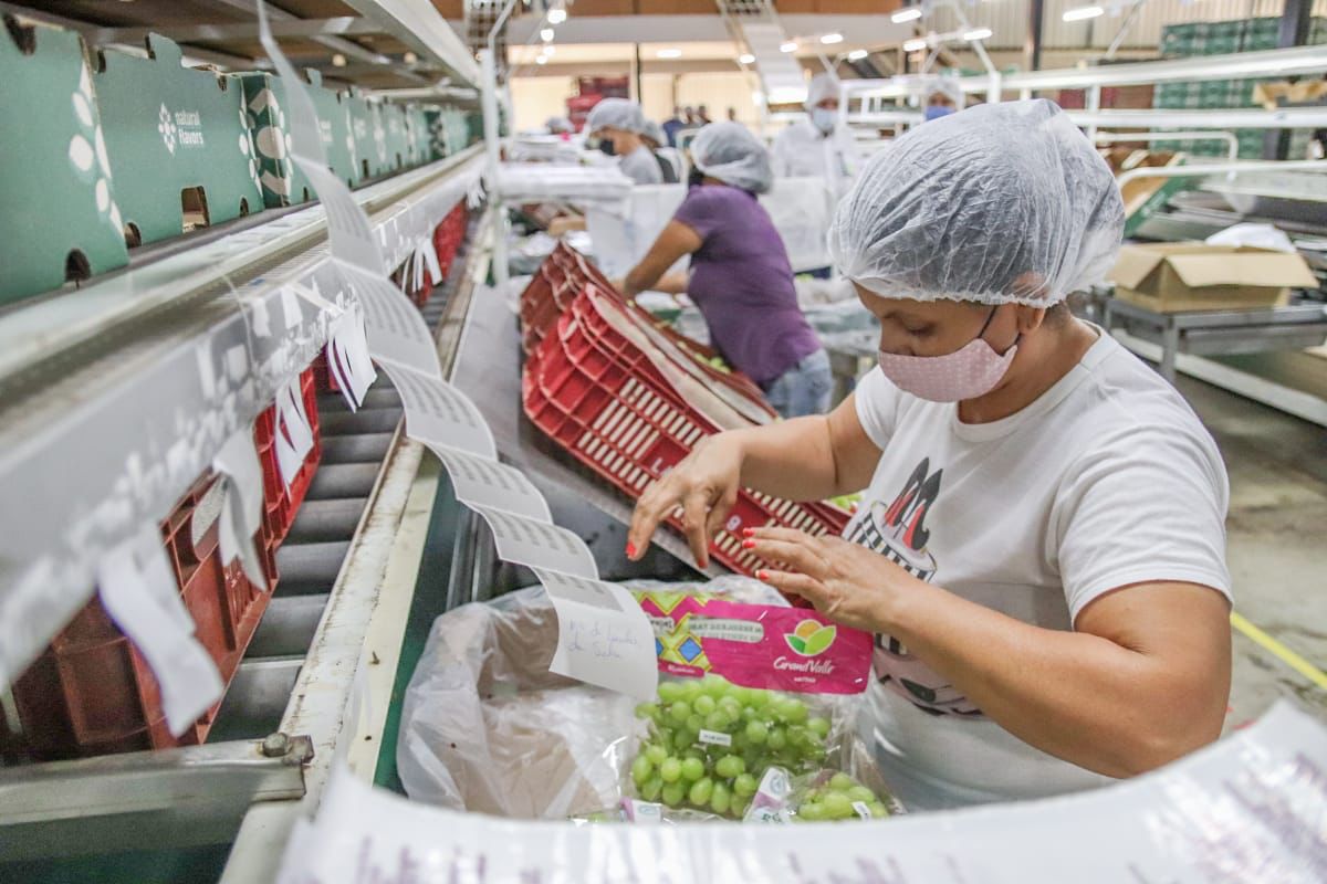 Petrolina 130 anos: Solo fértil que exporta sabores e oportunidades