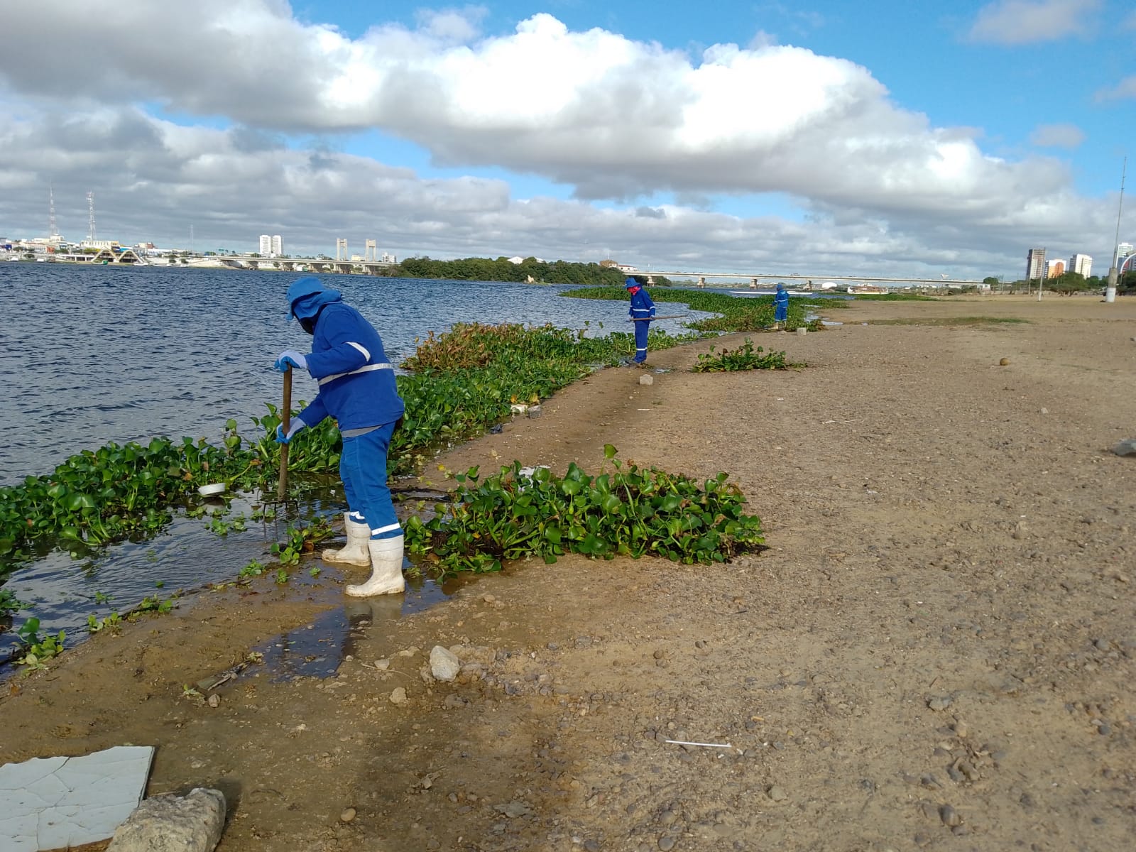 Prefeitura de Petrolina intensificou o trabalho de remoção de baronesas neste mês de agosto